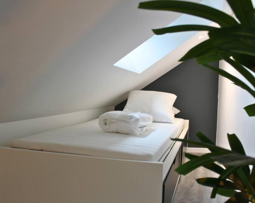 Yokohama, Duplex Avec Jardin Apartman Bourges Kültér fotó